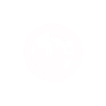 146