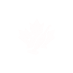 151